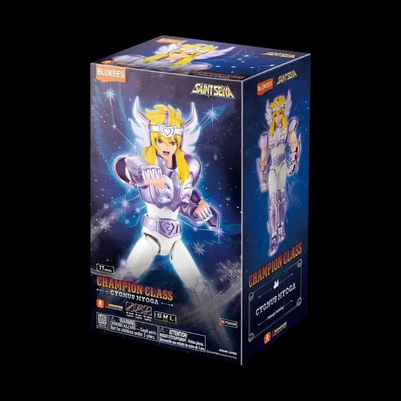 Hyoga Box Cover